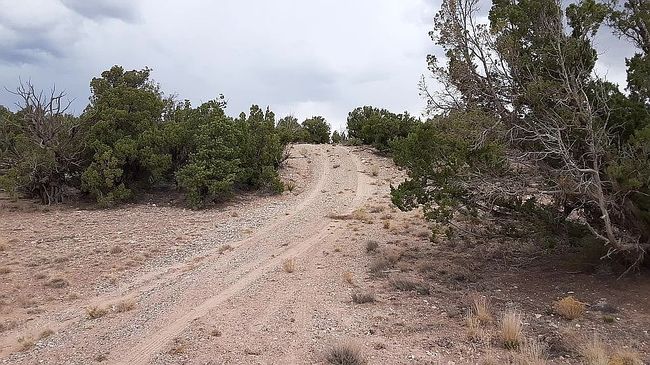 Image of 92 Tenabo Trl