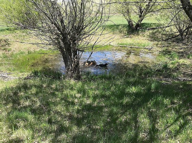 Image of 69044 Golf Course Rd