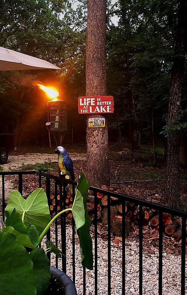 Additional photo 2 of property located at 23778 County Road 543