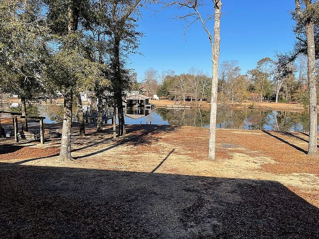 Photo of 915 Sand Island Dr, Camden, AL