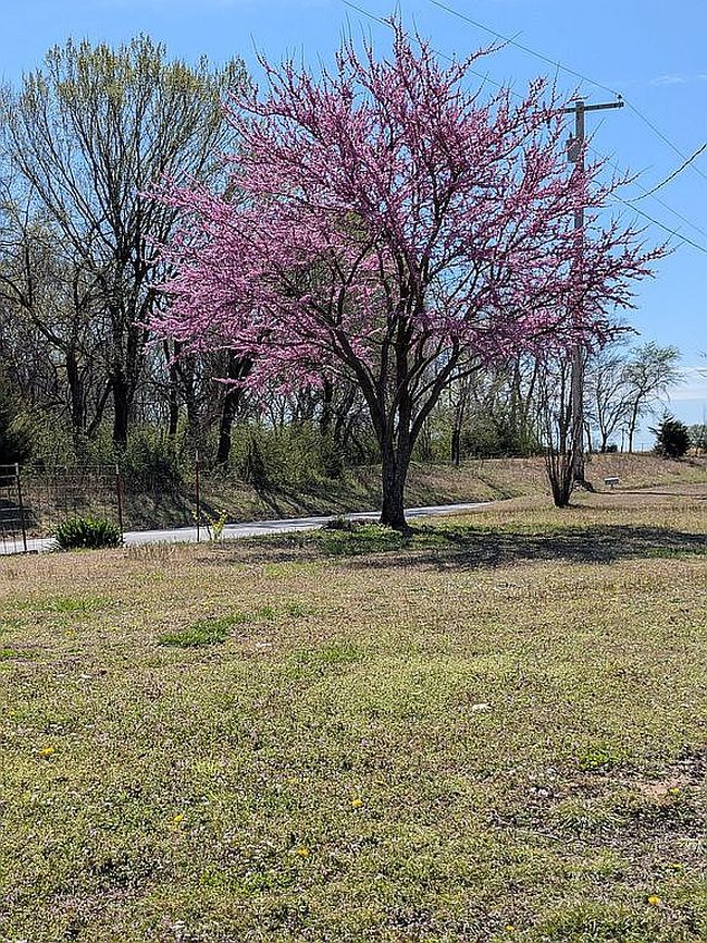 Photo of 12110 S 225 East Ave, Broken Arrow, OK