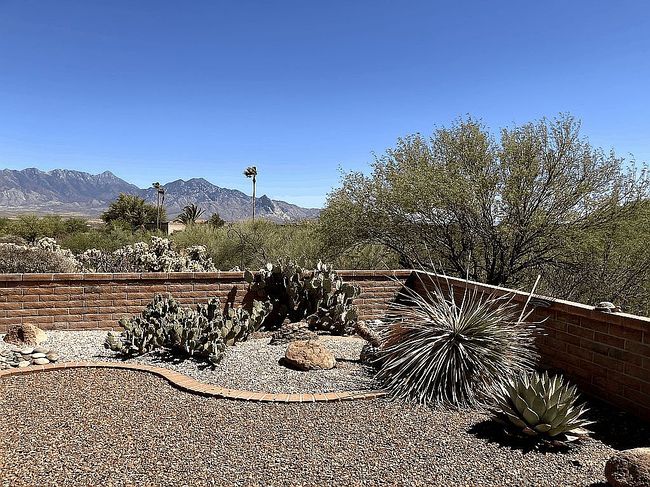 Image of 3631 S Via De La Ciguena