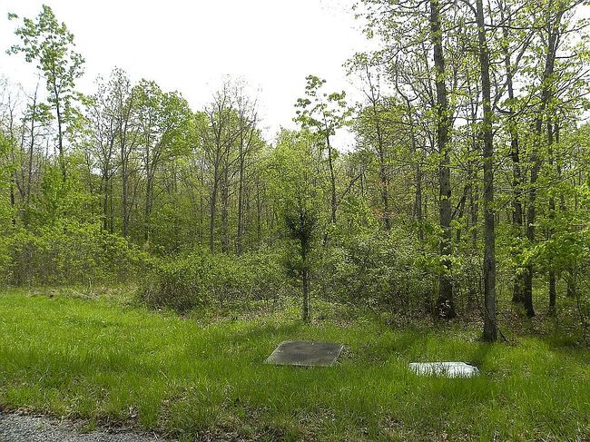 Image of 0 Holly Ln