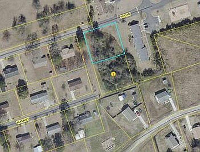 Image of Pecan St