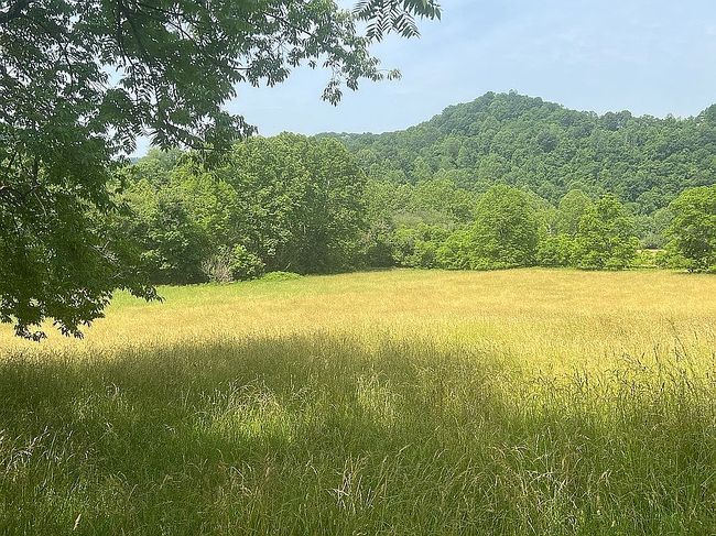 Photo of 10230 Russett Rd, Stumptown, WV