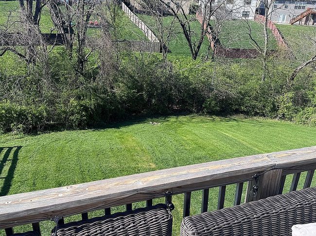 Image of 541 Ryan Dr