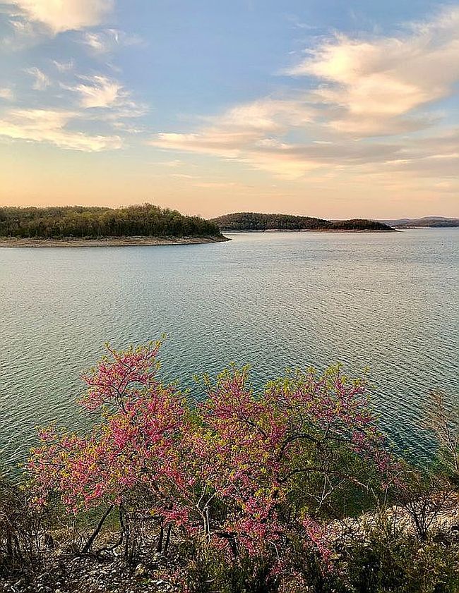 Image of 262 Ferncliff Point