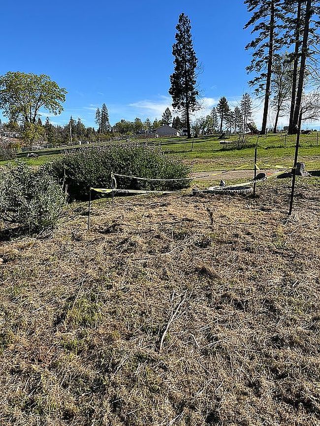 Image of 196 Roe Rd