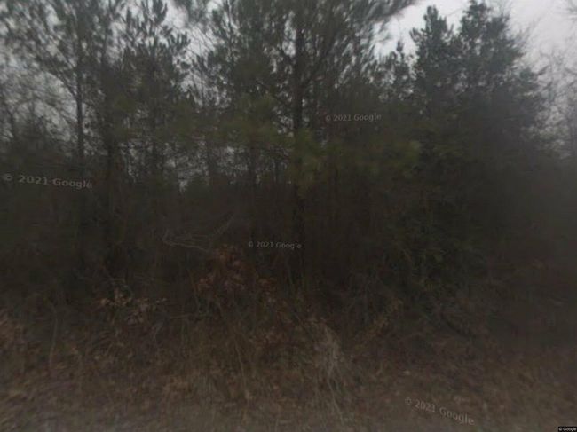 Photo of 2368 Camp Rd, Bethune, SC