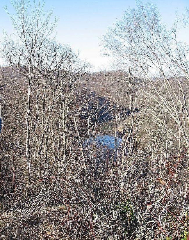 0 Buckhorn Ln, Buckhorn, KY