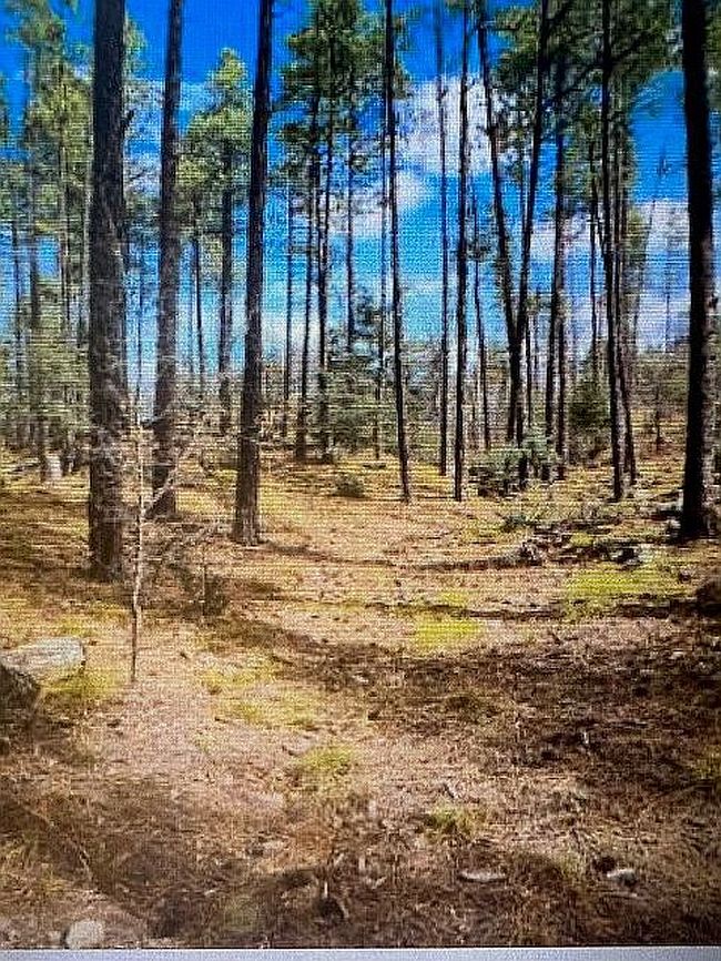 Image of 0 Tree Tops Trl W