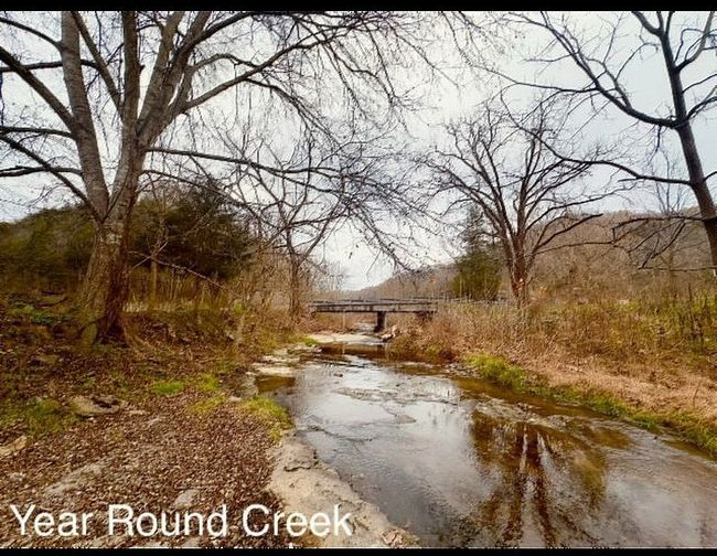 Photo of 1611 Knob Creek Rd, Celina, TN