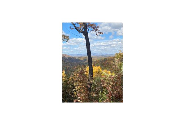 Preview of property located at 908 Bell Mountain Rd