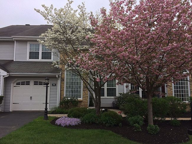 Image of 296 Carmen Dr