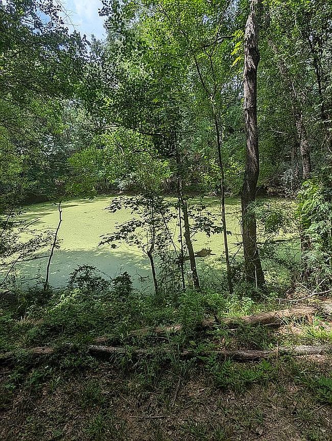 Photo of 11488 County Road 1, Fruitdale, AL