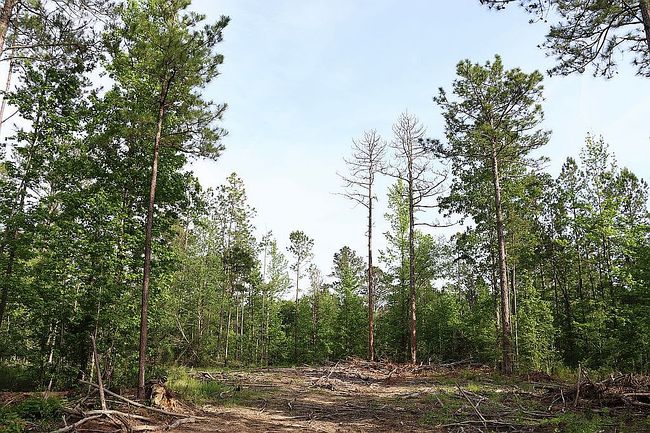 Image of 320 Fleming Rd