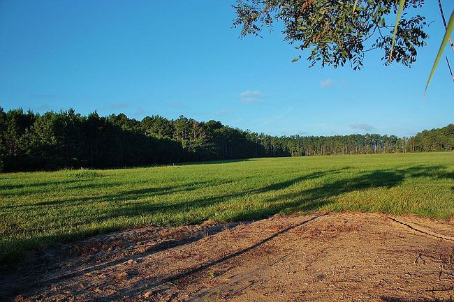 Image of 00 Muddy Creek Rd #6