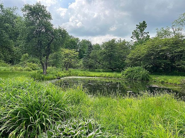 Additional photo 3 of property located at 7785 Cowles Settlement Rd