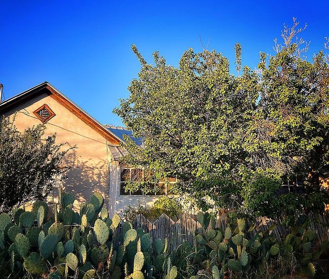 Image of 16 Tenedor Ln