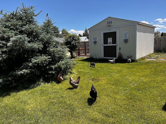 Photo of 479 E 97 S, Idaho Falls, ID