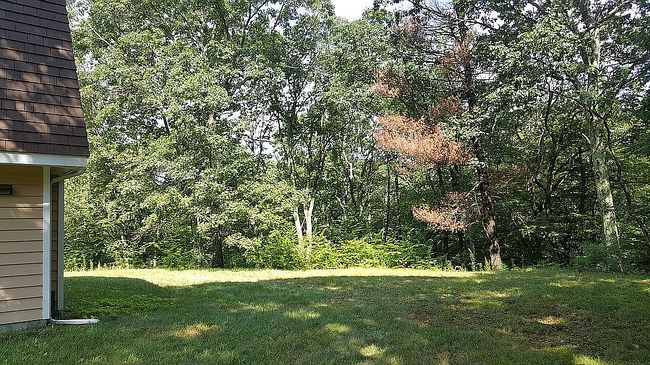 Image of 287 Killearn Rd