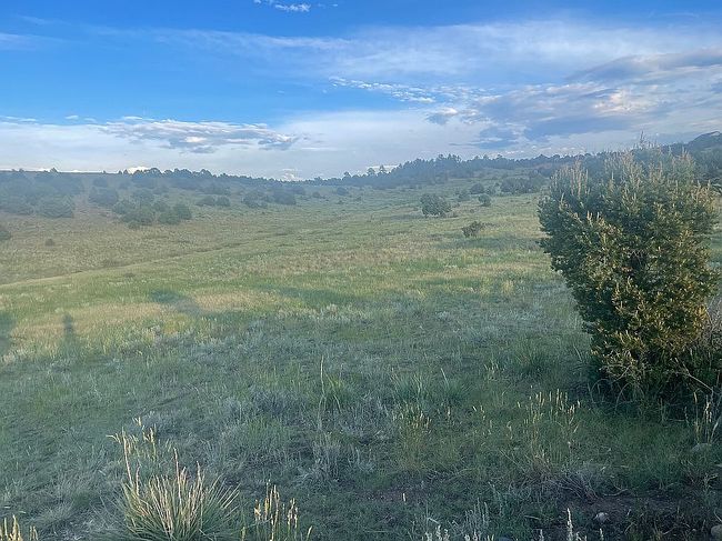 Additional photo 1 of property located at 0 Wet Mountain Trl