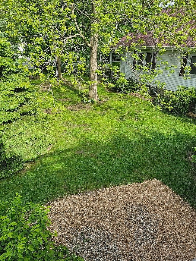 Image of 507 N Spruce St