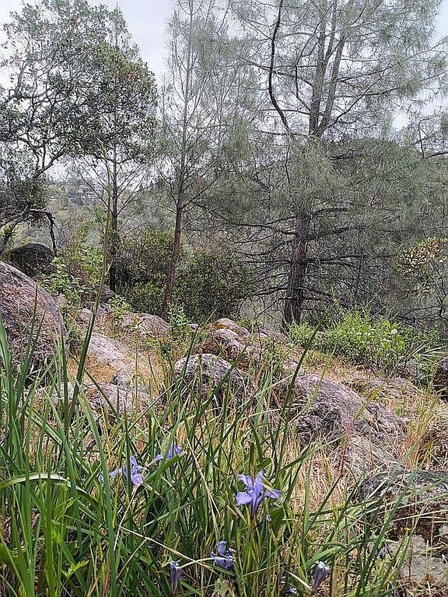 Photo of 4696 Iroquois Trl, Kelseyville, CA
