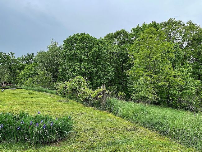 Image of 161 Five Mile Run
