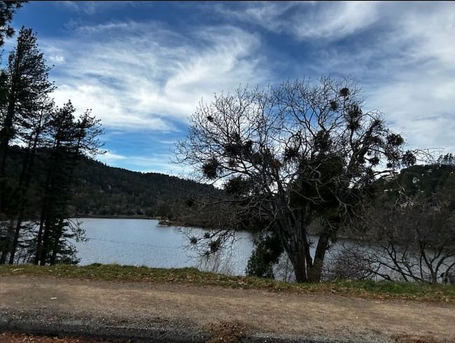 Image of Pine Trail Strawberry Ldg