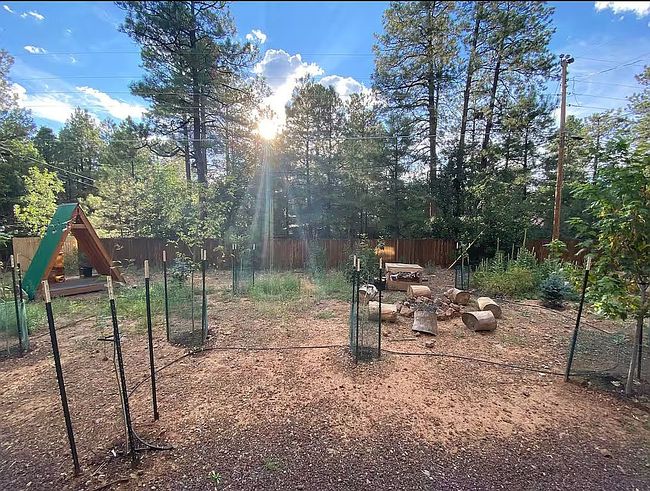 Photo of 4192 Bucking Horse Trl, Pinetop, AZ