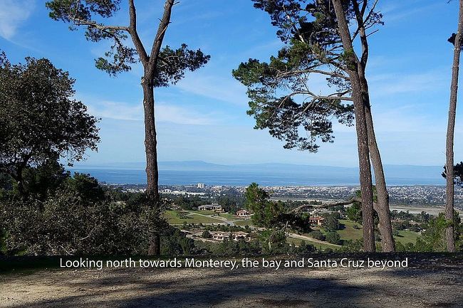 7855 Monterra Oaks Rd, Monterey, CA