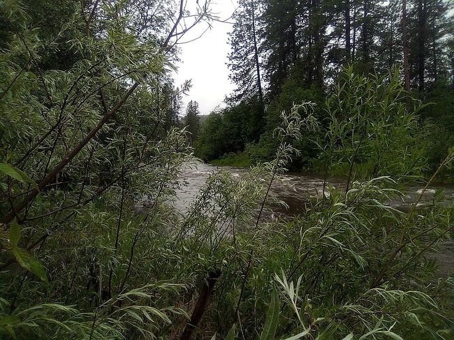 Image of 251 E Sanpoil Rd