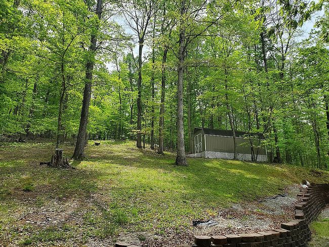 Image of 305 Halcomb Dr