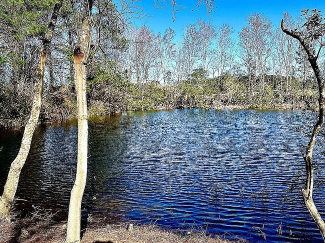 Image of 272272 Conner Nelson Rd