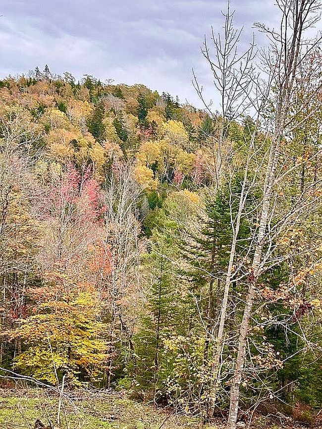 Photo of 760 Half Township Rd, Lincoln, ME