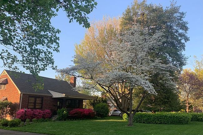 Photo of 4513 Statton Rd, Saint Regis Park, KY