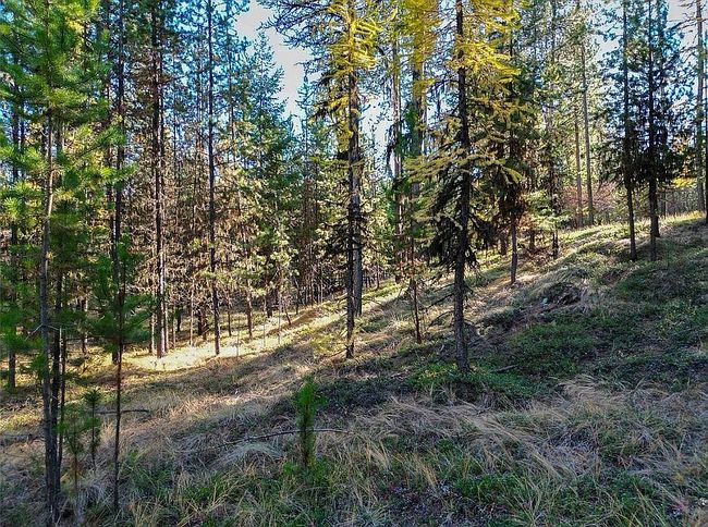 Preview of property located at 11620 Us Highway 2 W