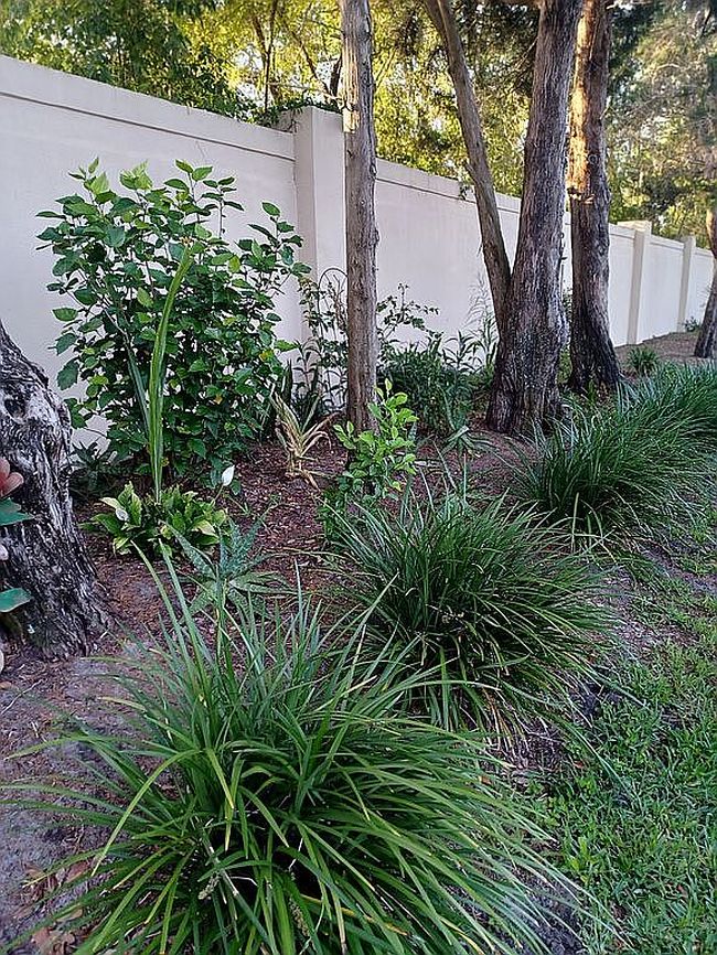 Image of 2161 Springmeadow Dr