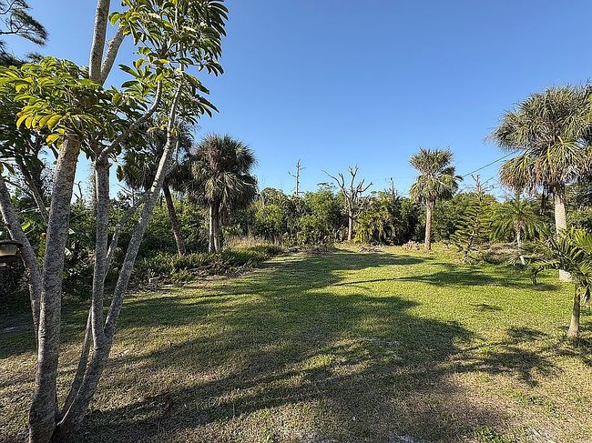 Image of 3628 Tropical Point Dr