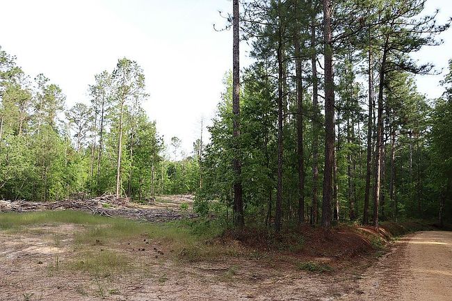 Additional photo 2 of property located at 320 Fleming Rd