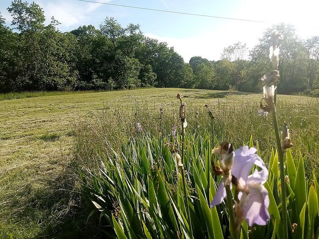 Image of 15585 Bucks Lake Rd