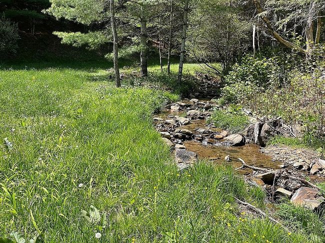 Image of 413 Low Gap Rd