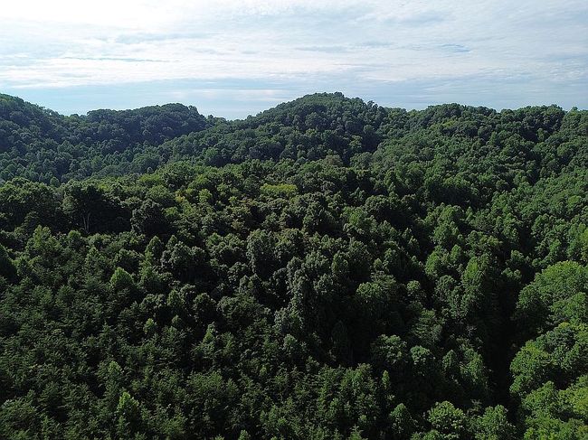 Image of 2117 Mason Hollow Rd