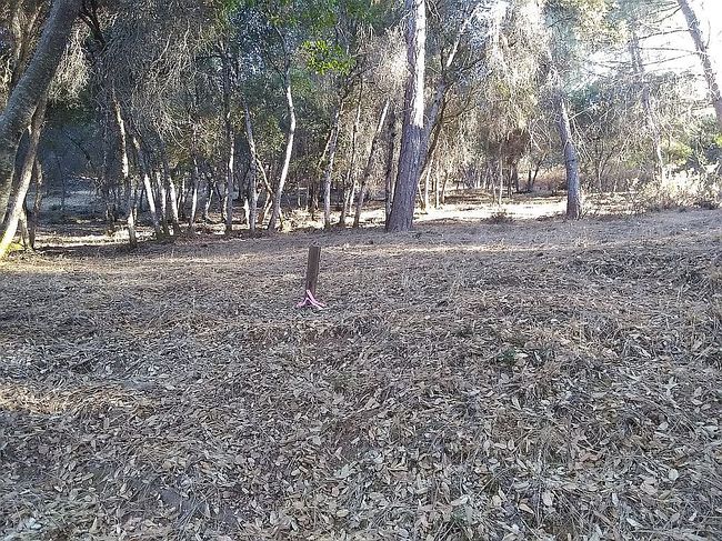 Image of 10493 Boren Bega Dr