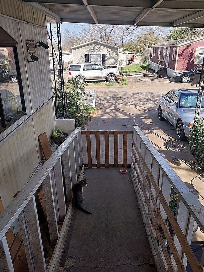 Image of 3210 La Sombra St