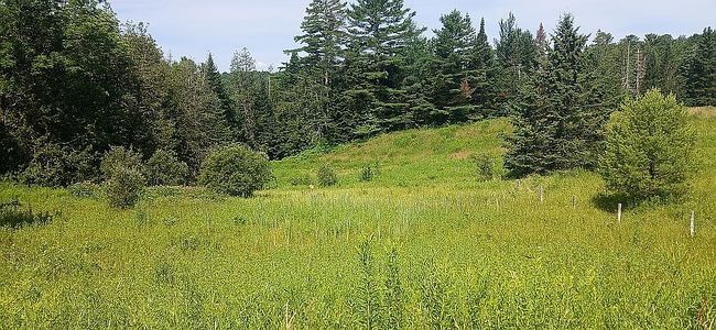 Photo of 3851-215 N Cabot Rd, Cabot, VT