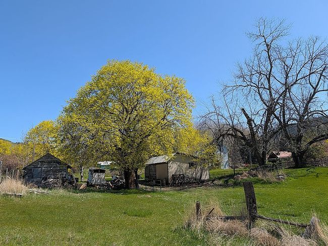 Additional photo 3 of property located at 4916 Highway 25 Hwy S