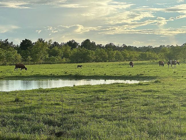 Photo of 734 County Road 3011, Dayton, TX