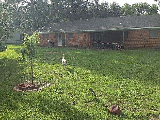 Photo of 9395 Doty St, Beaumont, TX